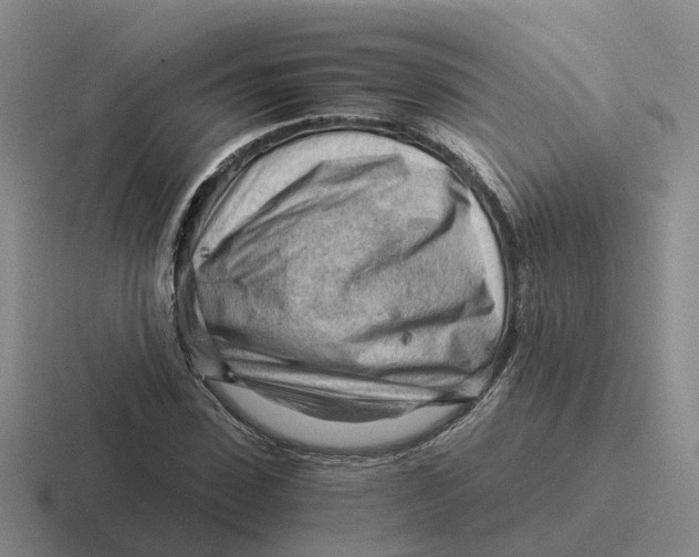 X0000116640923201001041028