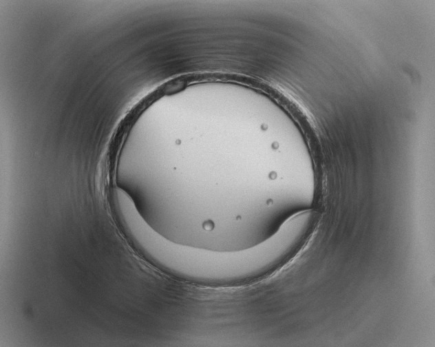 X0000116640925201001041028