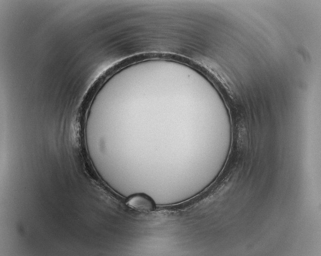 X0000116640926201001041028