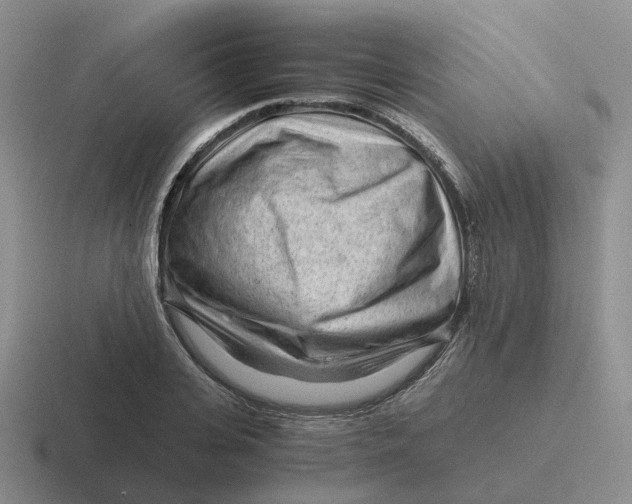 X0000116640935201001041028