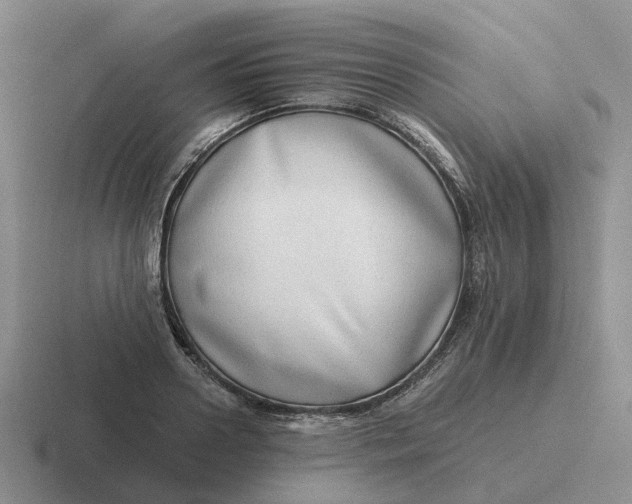 X0000116640938201001041028