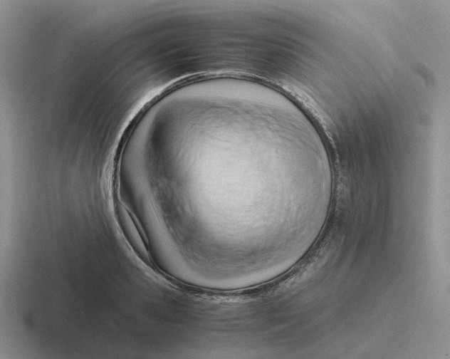 X0000116640941201001041028