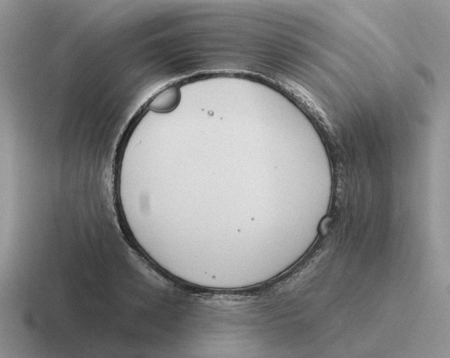 X0000116640942201001041028