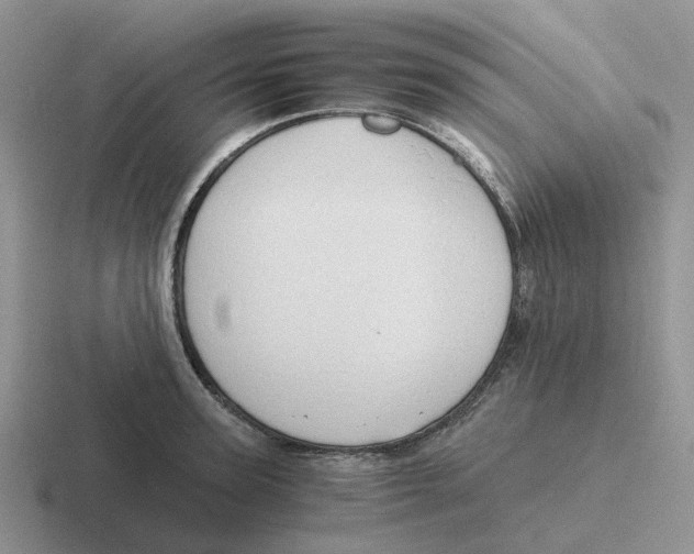 X0000116640947201001041028