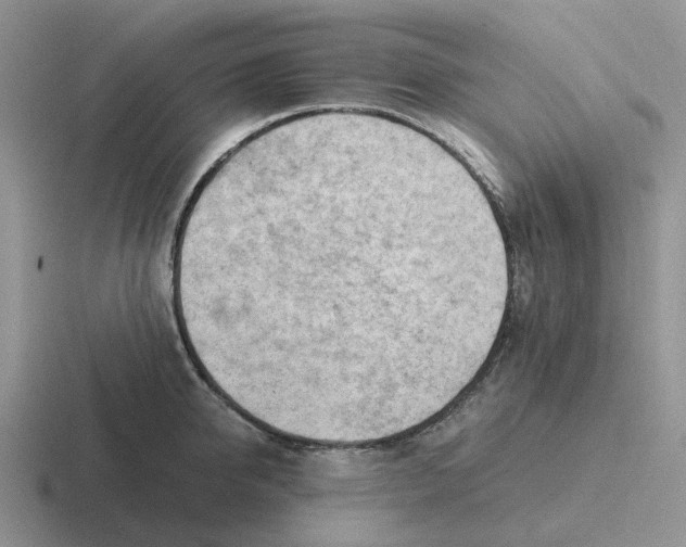 X0000116640950201001041028