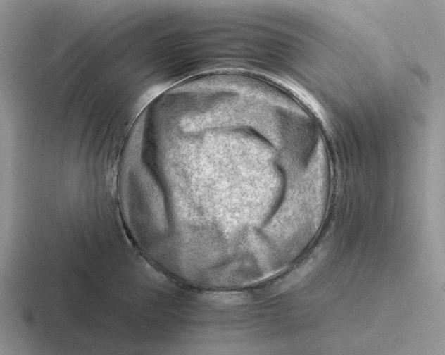 X0000116640953201001041028