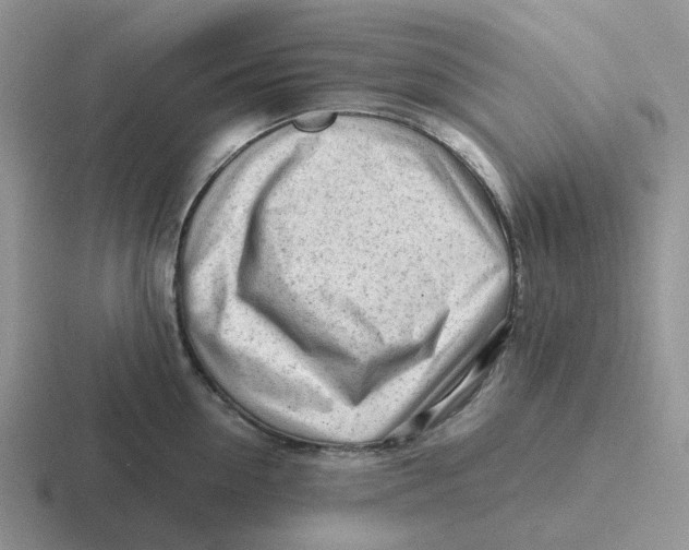 X0000116640954201001041028