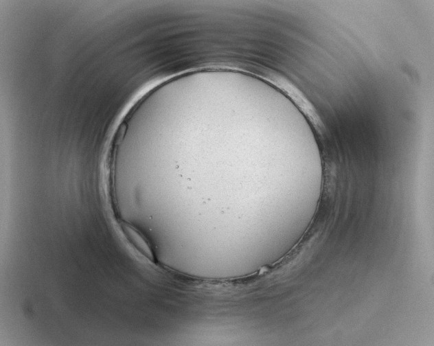 X0000116640955201001041028