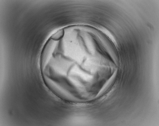 X0000116640958201001041028