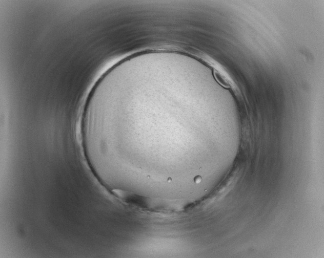 X0000116640959201001041028