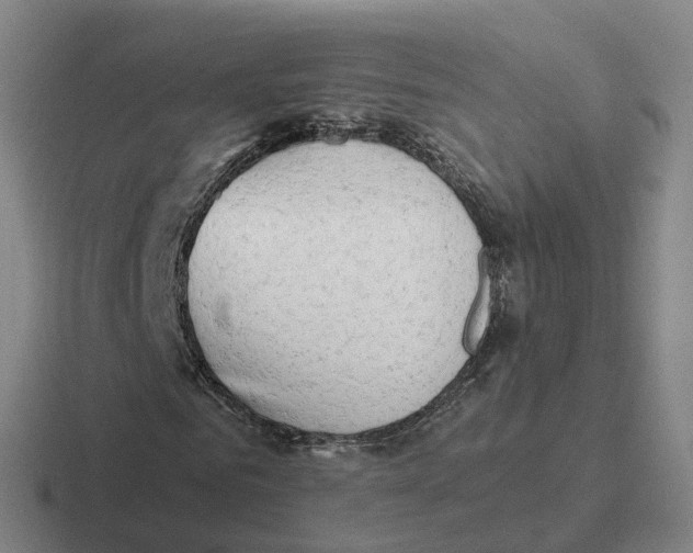 X0000116640961201001041028