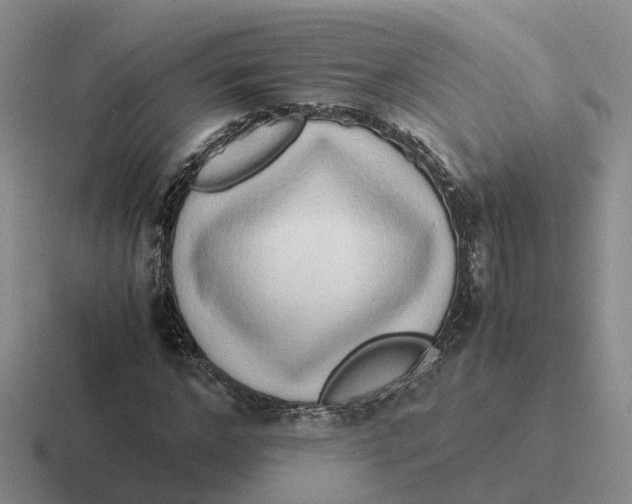 X0000116640968201001041028