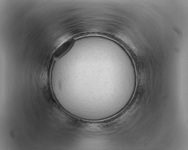 X0000116640969201001041028