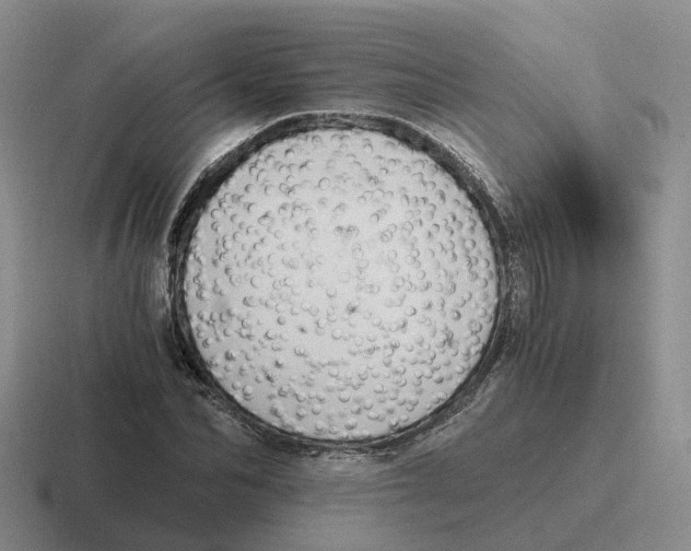 X0000116640974201001041027