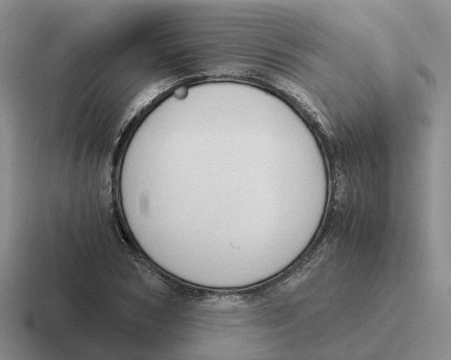 X0000116640978201001041027