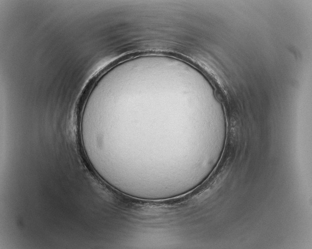 X0000116640981201001041027