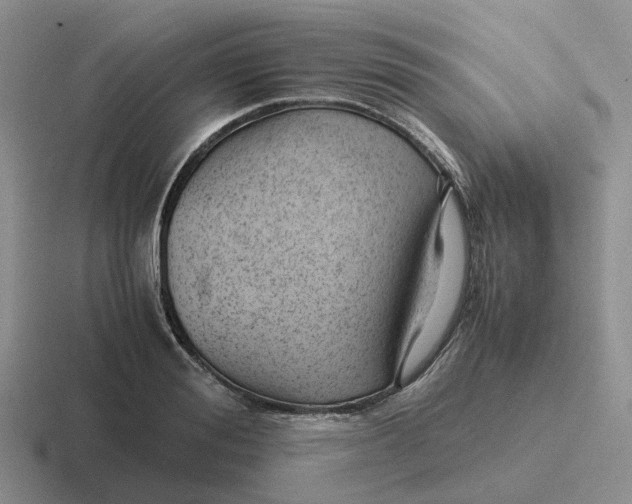 X0000116640988201001041027