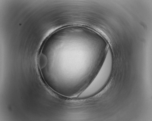 X0000116640989201001041027