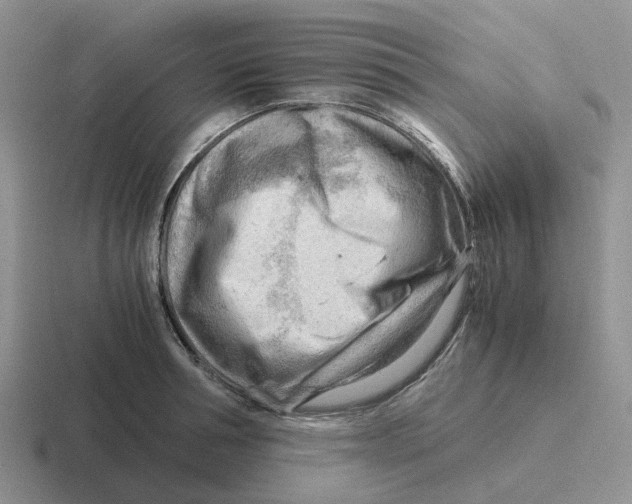 X0000116640994201001041027