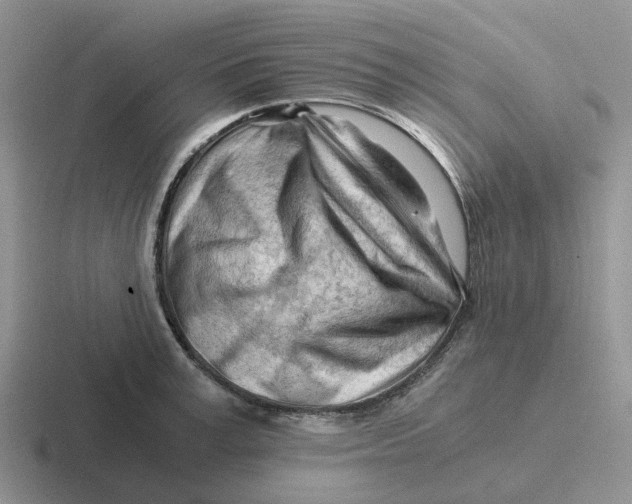 X0000116640995201001041027