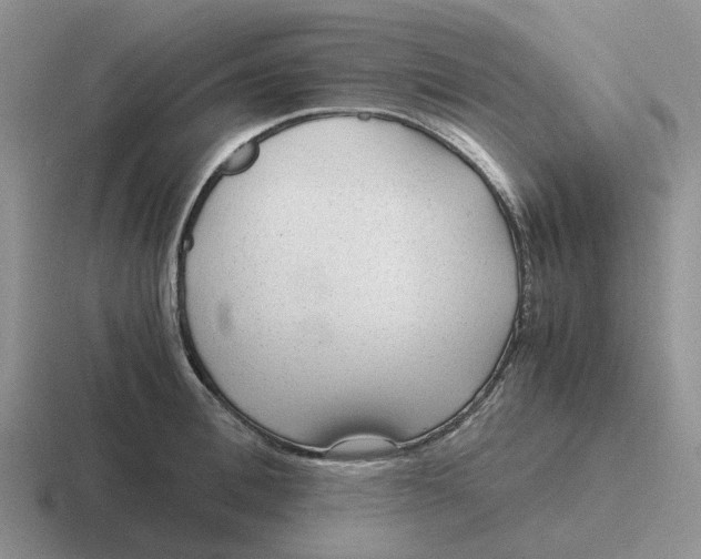 X0000116640996201001041027