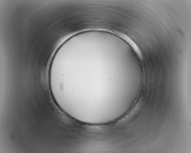 X0000116641004201001041027