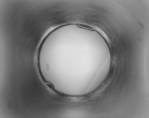 X0000116641005201001041027