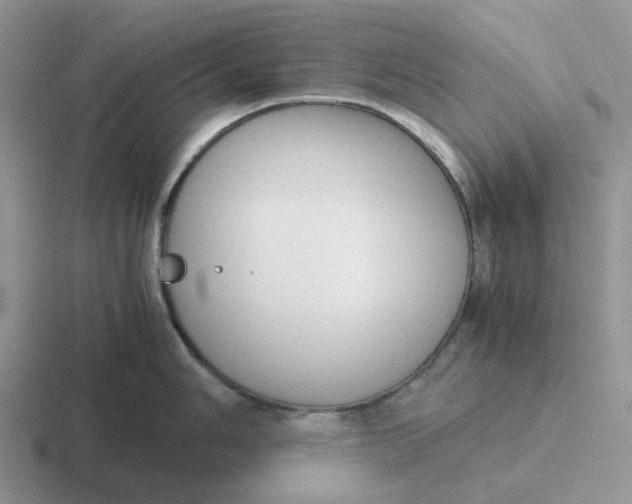 X0000116641006201001041027