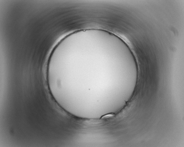 X0000116641008201001041027