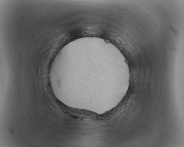 X0000116641009201001041026