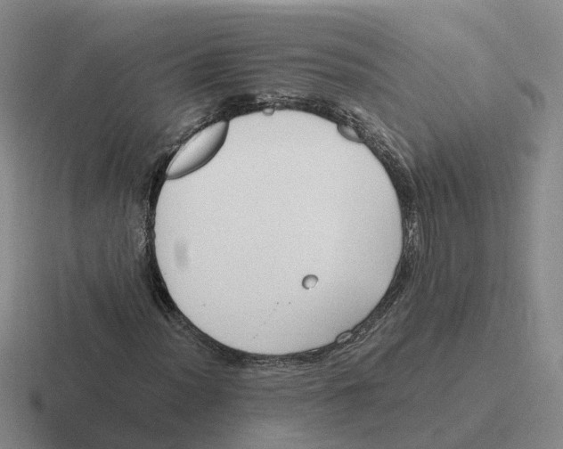 X0000116641012201001041026