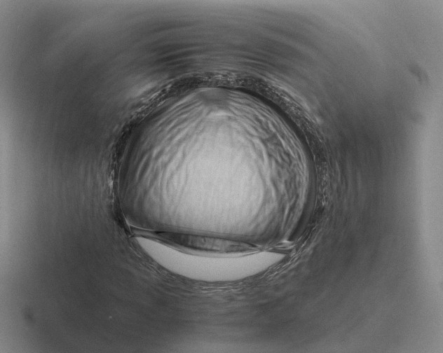 X0000116641013201001041026