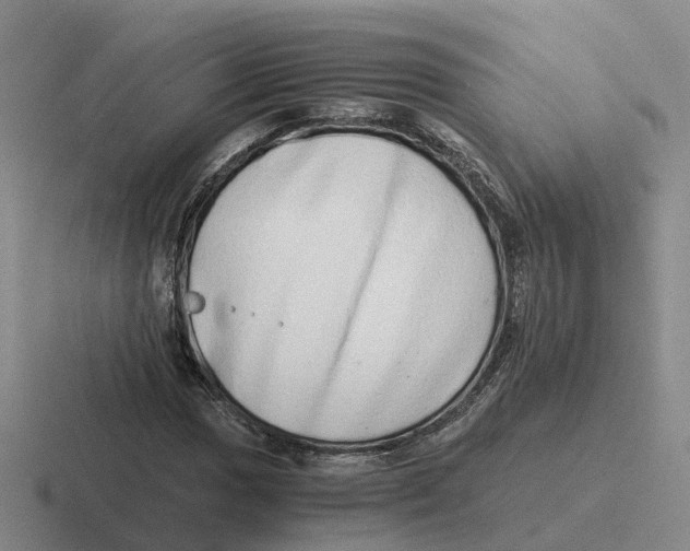 X0000116641017201001041027