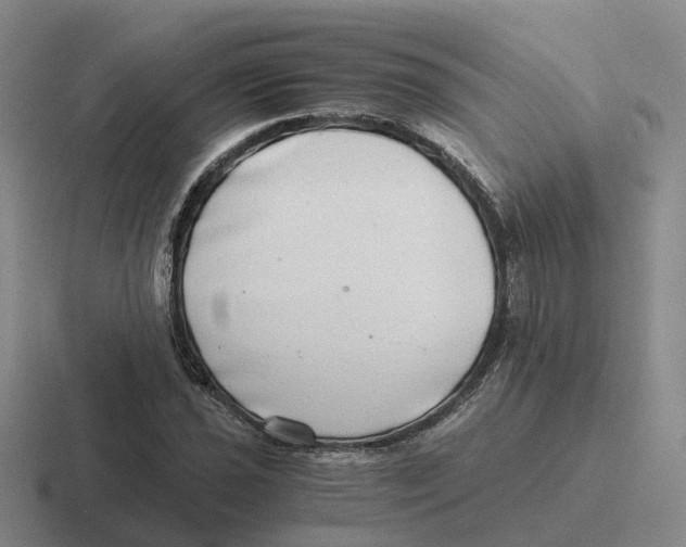 X0000116641021201001041027