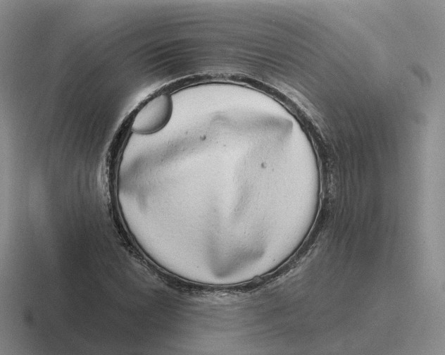 X0000116641022201001041027