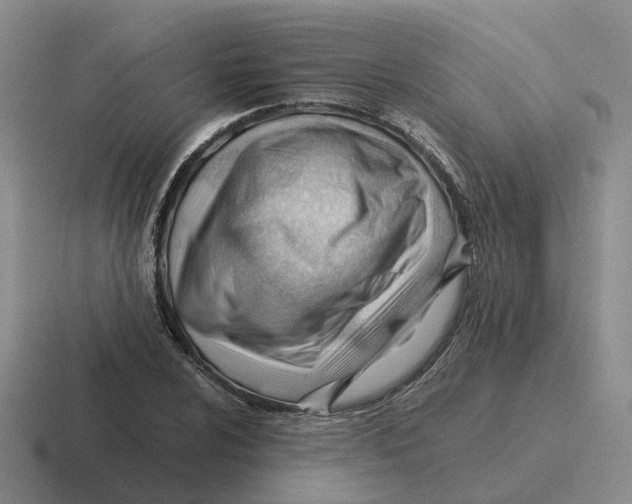 X0000116641024201001041027