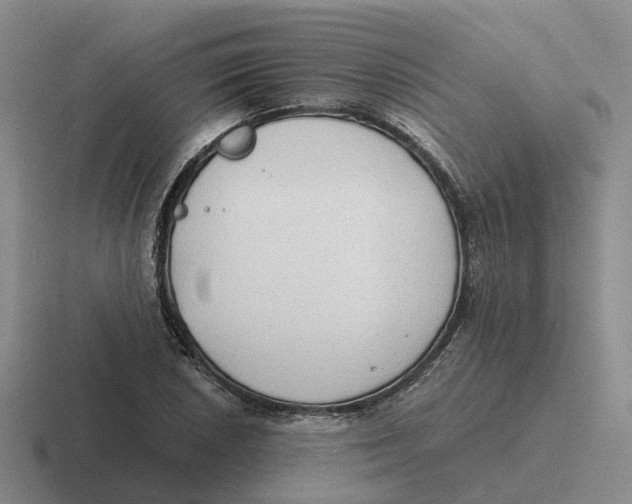 X0000116641026201001041027