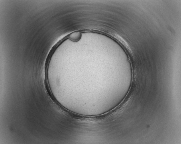 X0000116641028201001041027