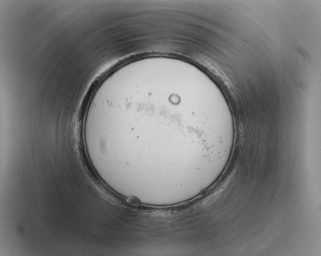 X0000116641029201001041027