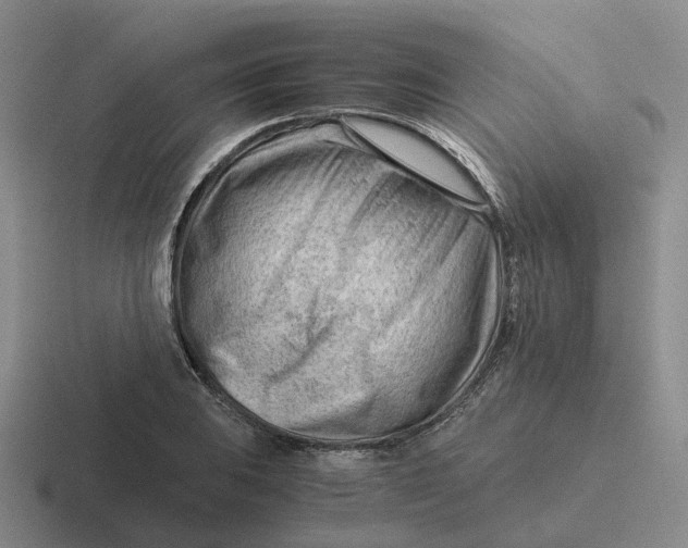 X0000116641031201001041027