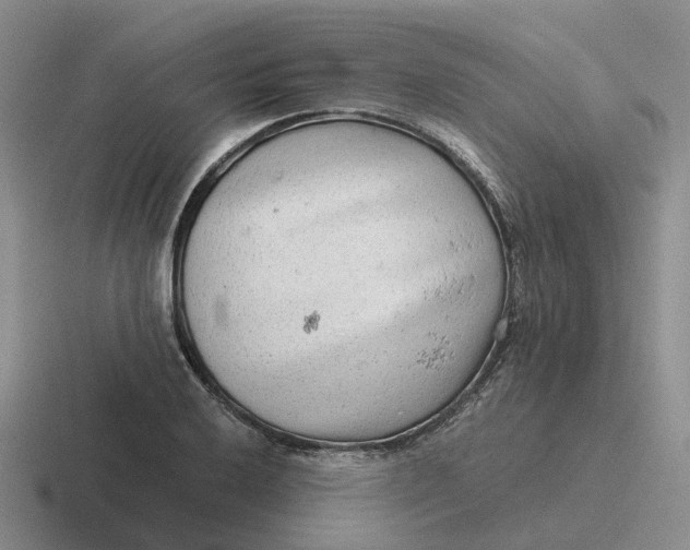 X0000116641032201001041027