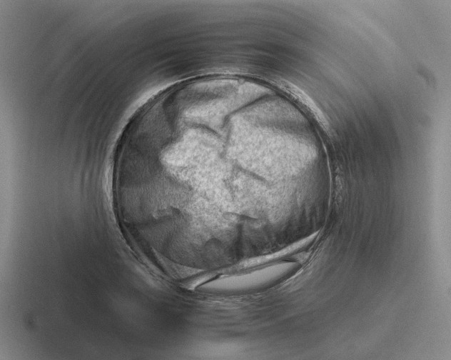 X0000116641035201001041027