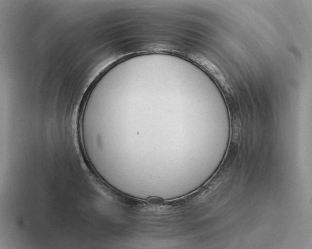 X0000116641039201001041027