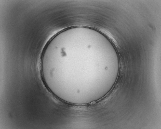 X0000116641040201001041027