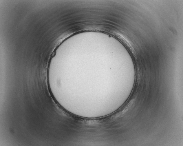 X0000116641041201001041027