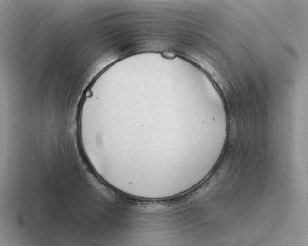 X0000116641042201001041027