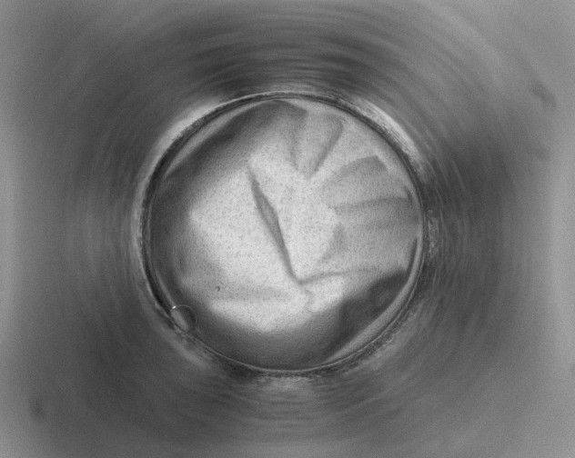 X0000116641043201001041027