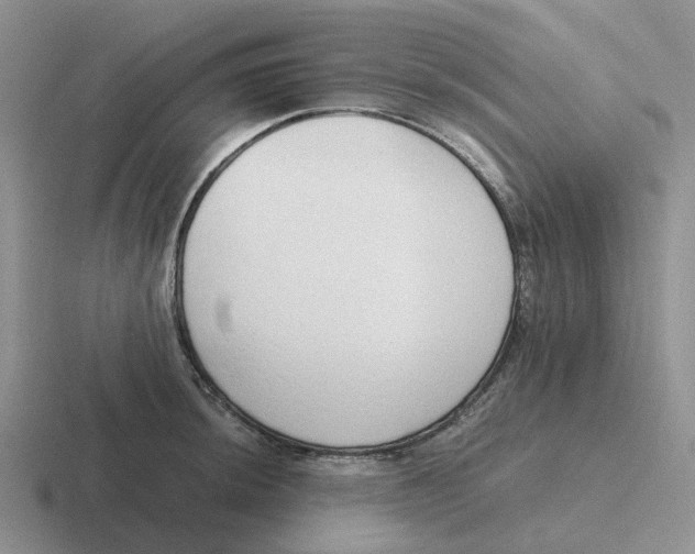 X0000116641044201001041027