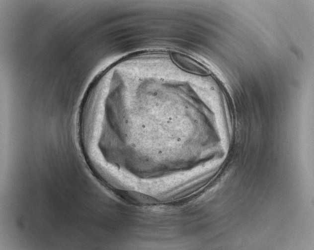 X0000116641045201001041027