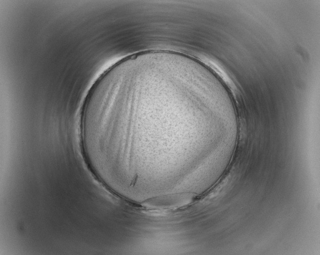 X0000116641048201001041027